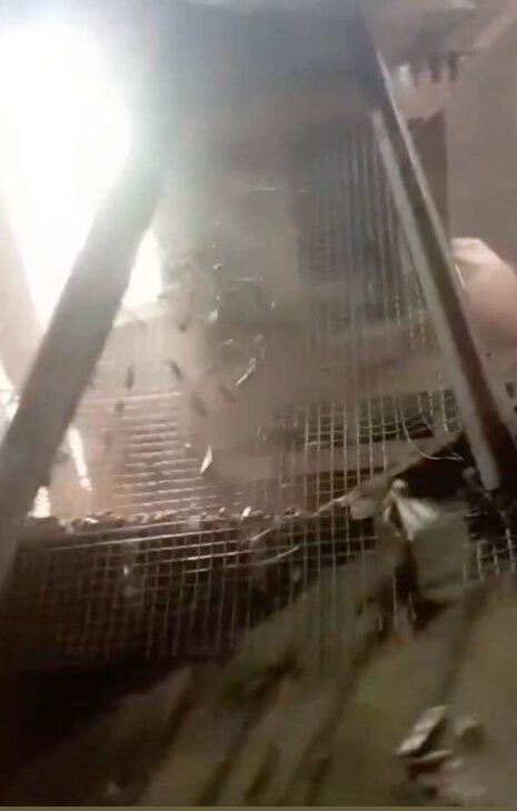 Pellet sieve