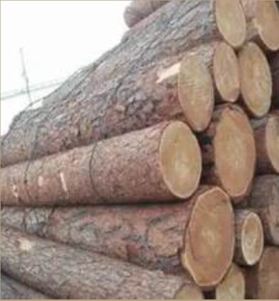 Logs