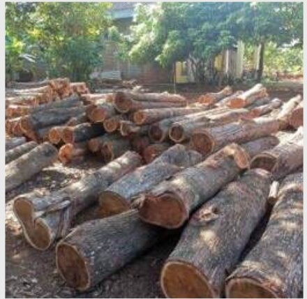 Log yard