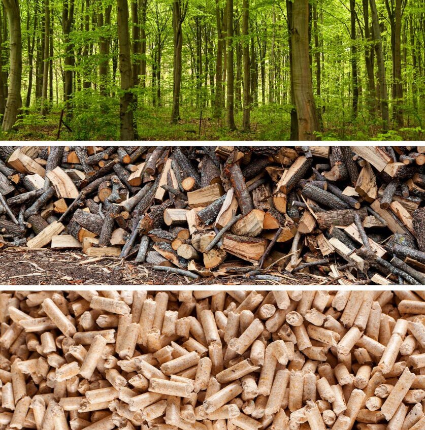 Forest to pellet