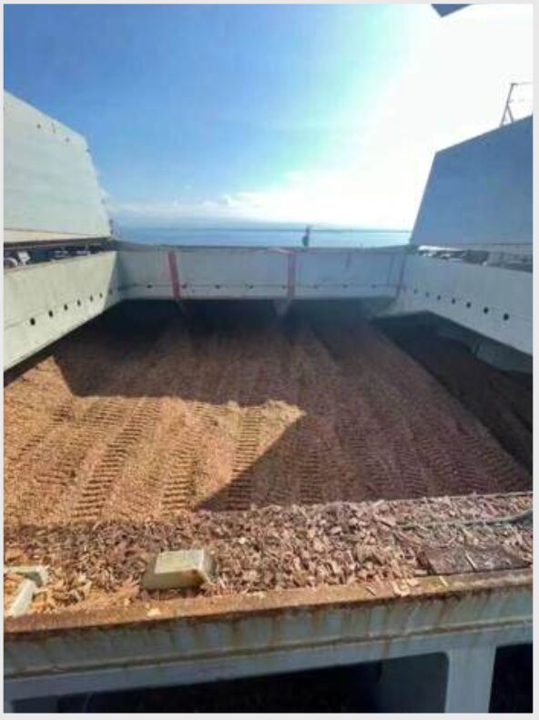 Cargo hold